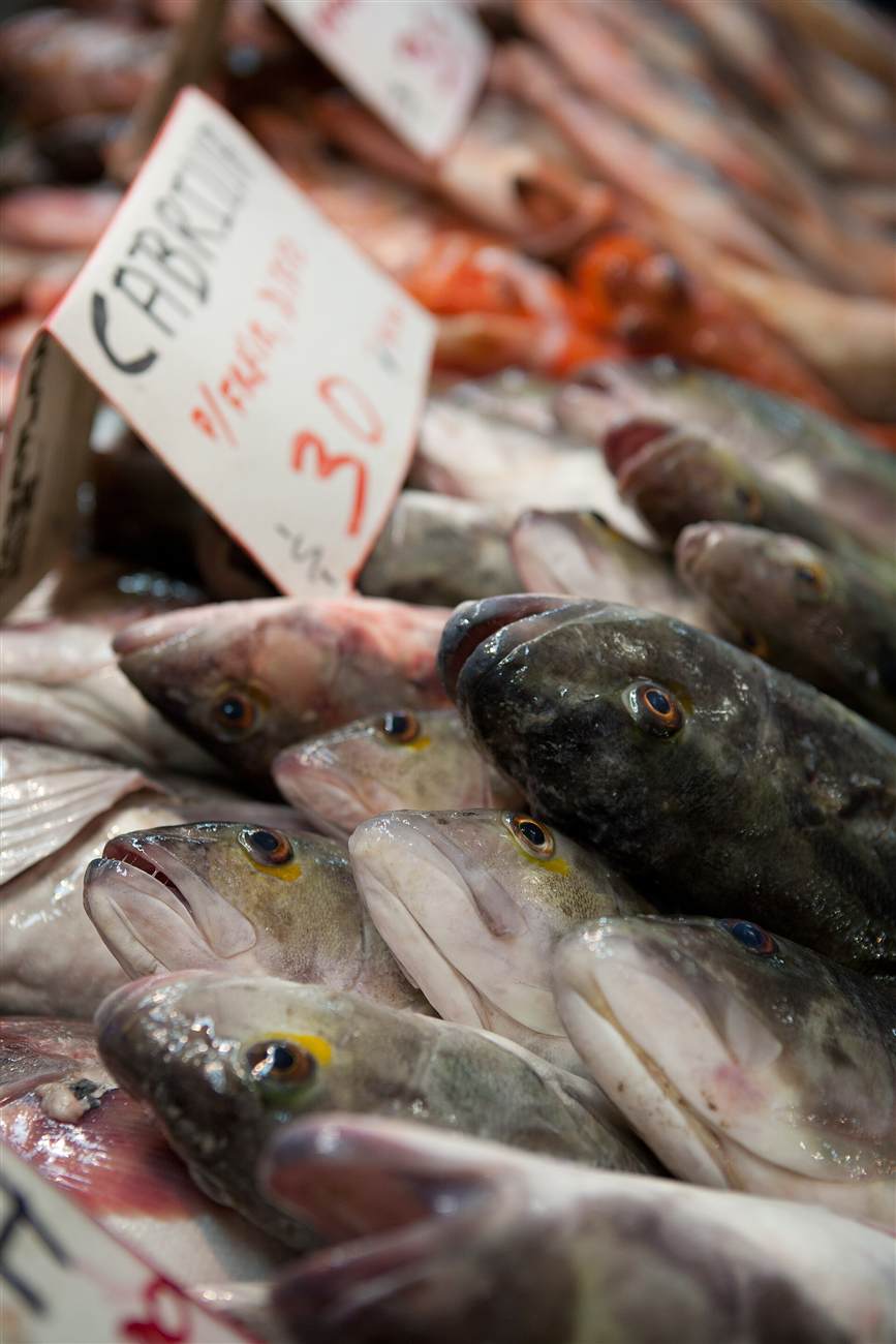 Cabrillas frescas en el mercado de Ensenada